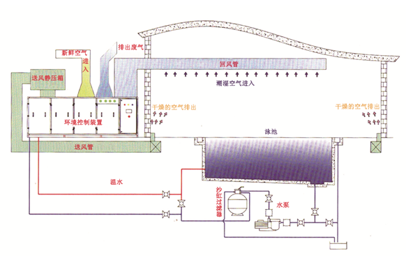 瀚宇水处理：如果做好这些，奥运泳池怎么会“绿”?